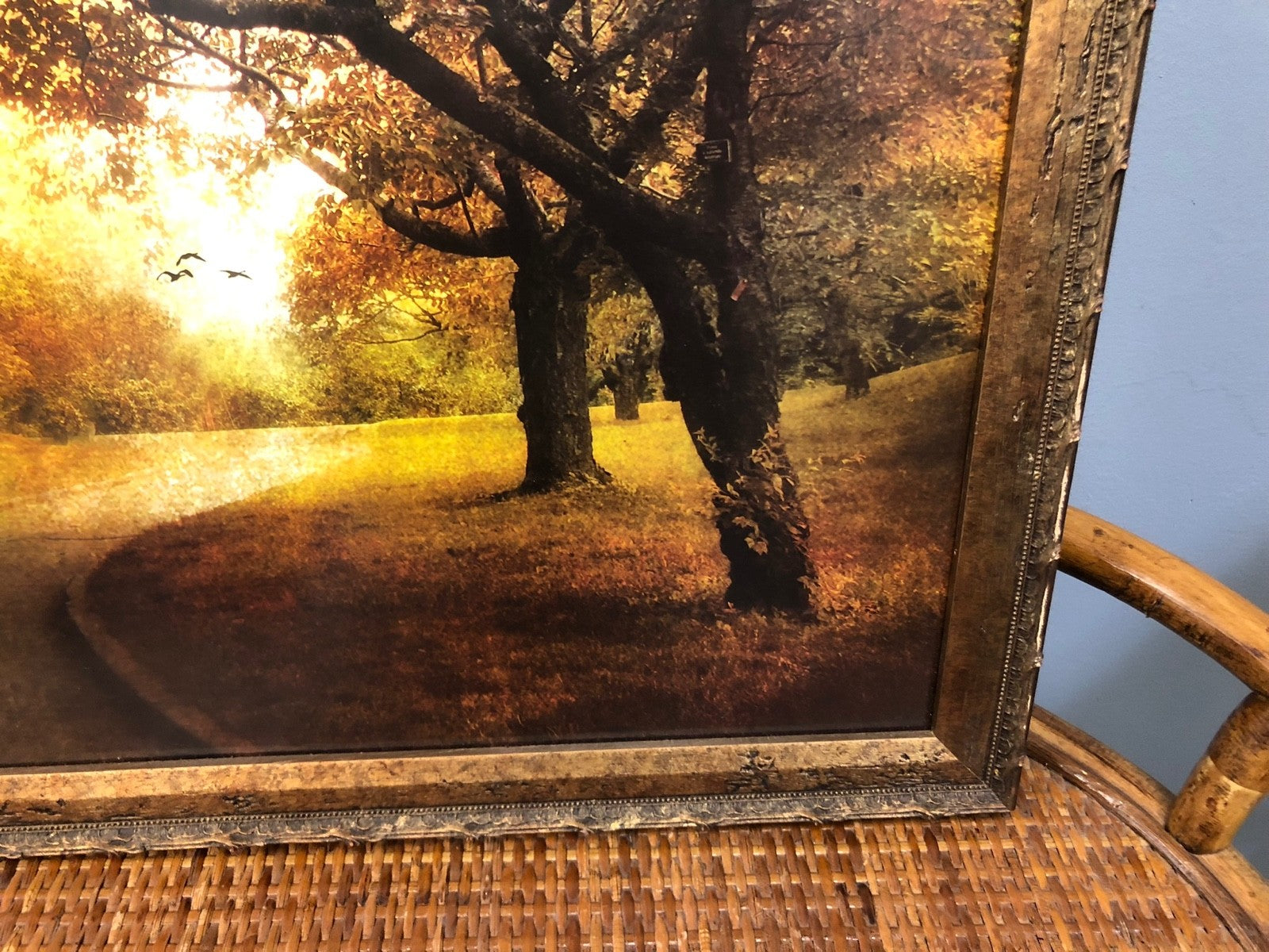 Autumn Orchard Art Print by Jessica Jenney - Framed Art Print - 24.5" x 26"