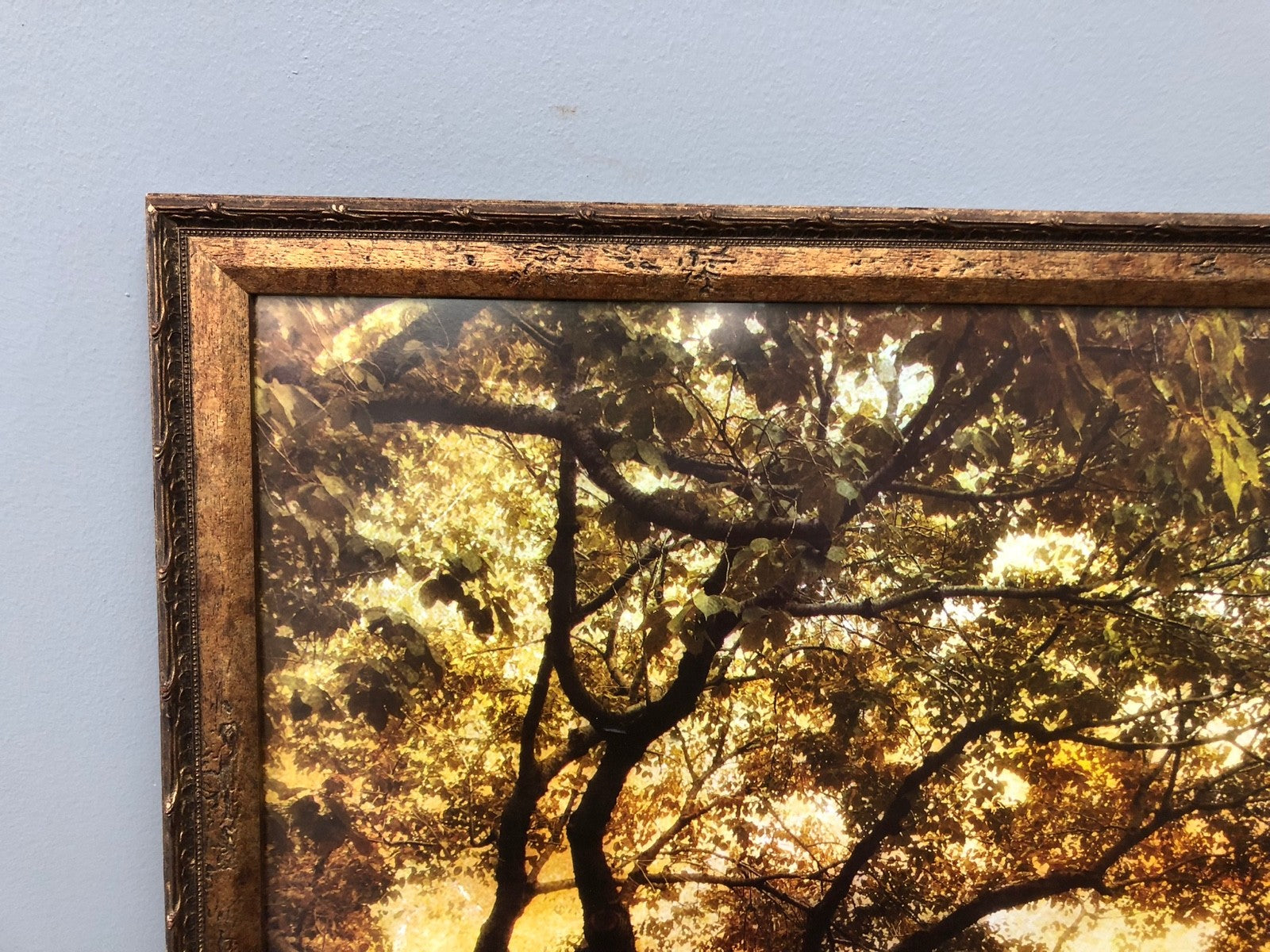 Autumn Orchard Art Print by Jessica Jenney - Framed Art Print - 24.5" x 26"