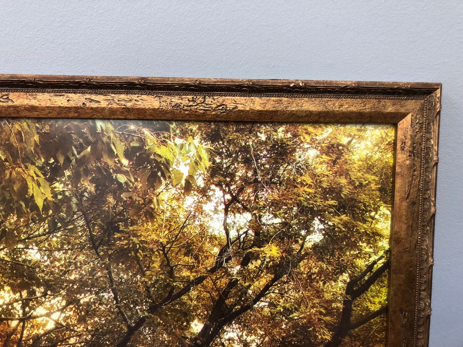 Autumn Orchard Art Print by Jessica Jenney - Framed Art Print - 24.5" x 26"