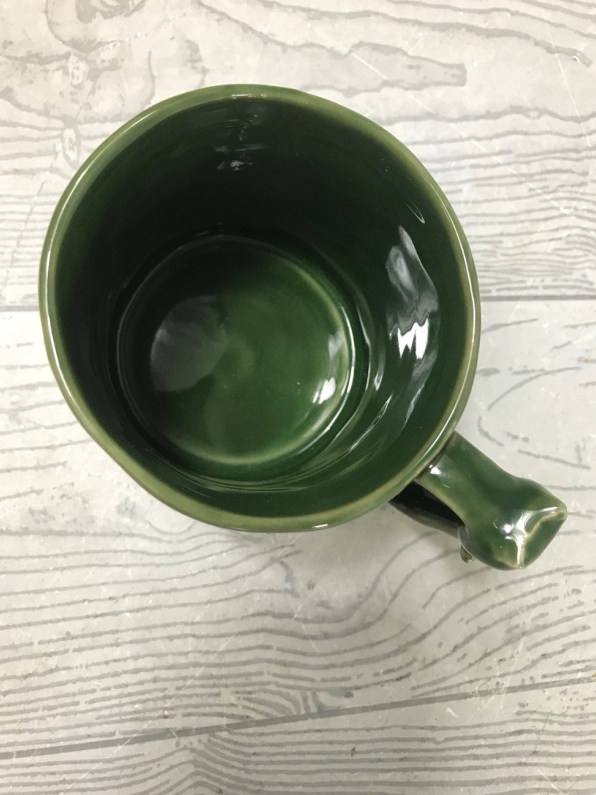 Green Anthropologie Visionary "Thinker" Mug - Green Mug With Owl on Handle