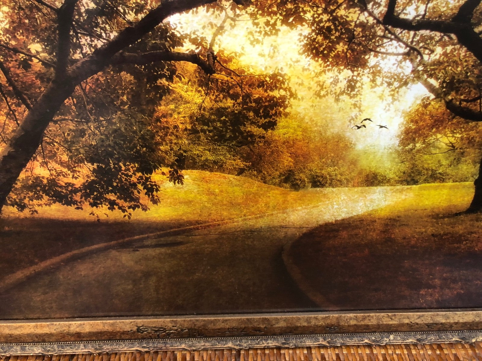 Autumn Orchard Art Print by Jessica Jenney - Framed Art Print - 24.5" x 26"