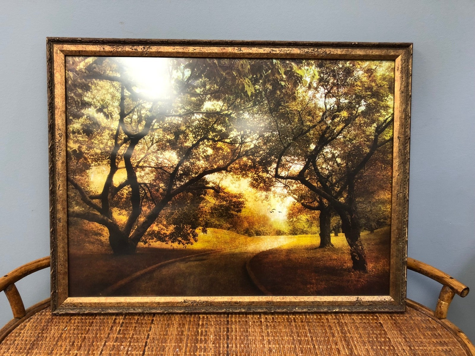 Autumn Orchard Art Print by Jessica Jenney - Framed Art Print - 24.5" x 26"