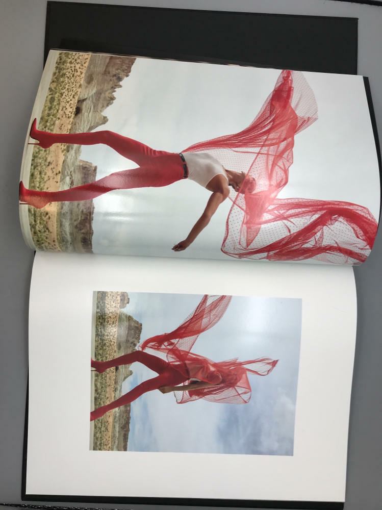 Celine Dion - Courage VIP Merchandise Box Set - Book and Accessories Included - Good
