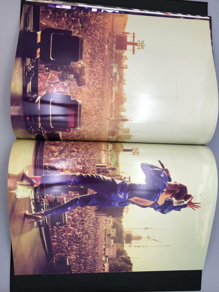 Celine Dion - Courage VIP Merchandise Box Set - Book and Accessories Included - Good