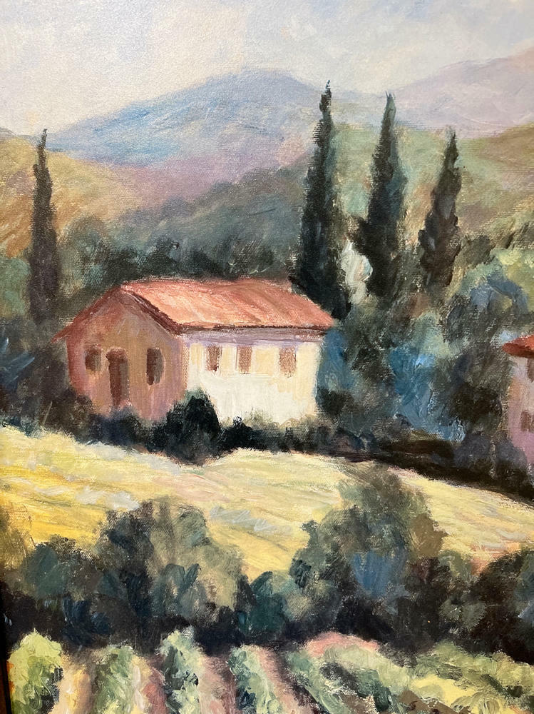 BIG!!! Framed Art - Landscape of Tuscany Vineyard in Hills Homes Red Roof - Good