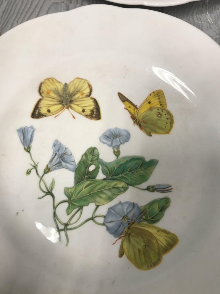 Horchow "Butterflies" Plates Made in England Queen's Fine Bone China - Good