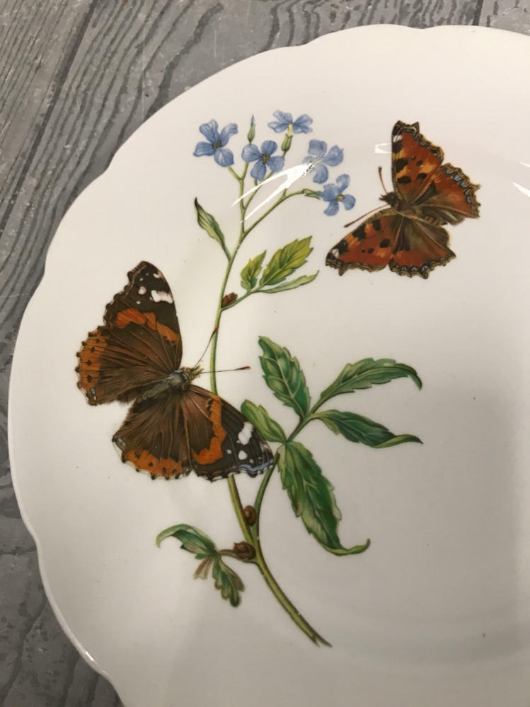 Horchow "Butterflies" Plates Made in England Queen's Fine Bone China - Good