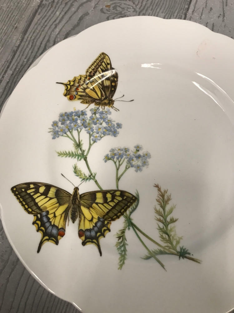 Horchow "Butterflies" Plates Made in England Queen's Fine Bone China - Good