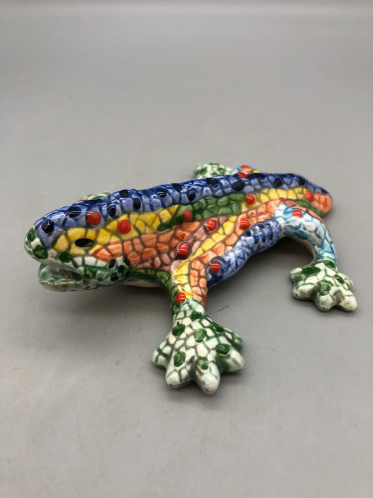 colorful iguana