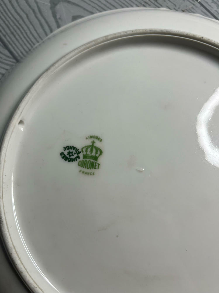 Vintage Coronet Limoges Bison Landscape Plate Hand-Painted Stamped Pradet France - Good